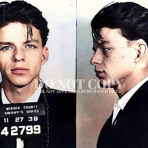 Frank Sinatra Mugshot Photograph 11 X 14 - Rare 1938 Mug Shot Photo Poster Print - Picture 2 of 2